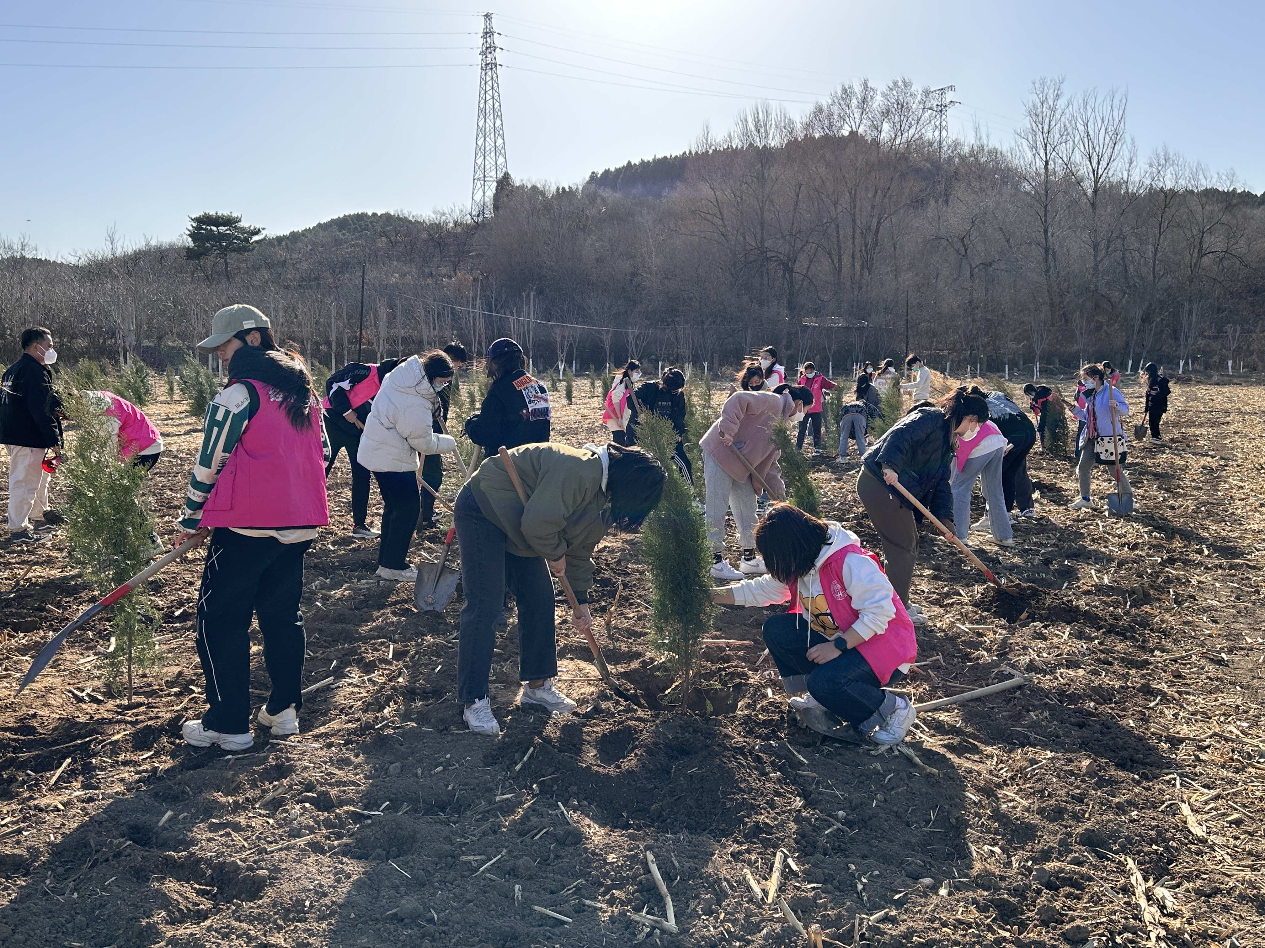 大发welcome(中国游)首页官网登录